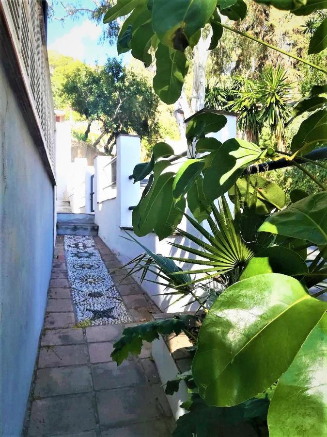Quiet House In Malaga Villa Bagian luar foto